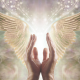 7 Steps To Connect With Your Angel Guides